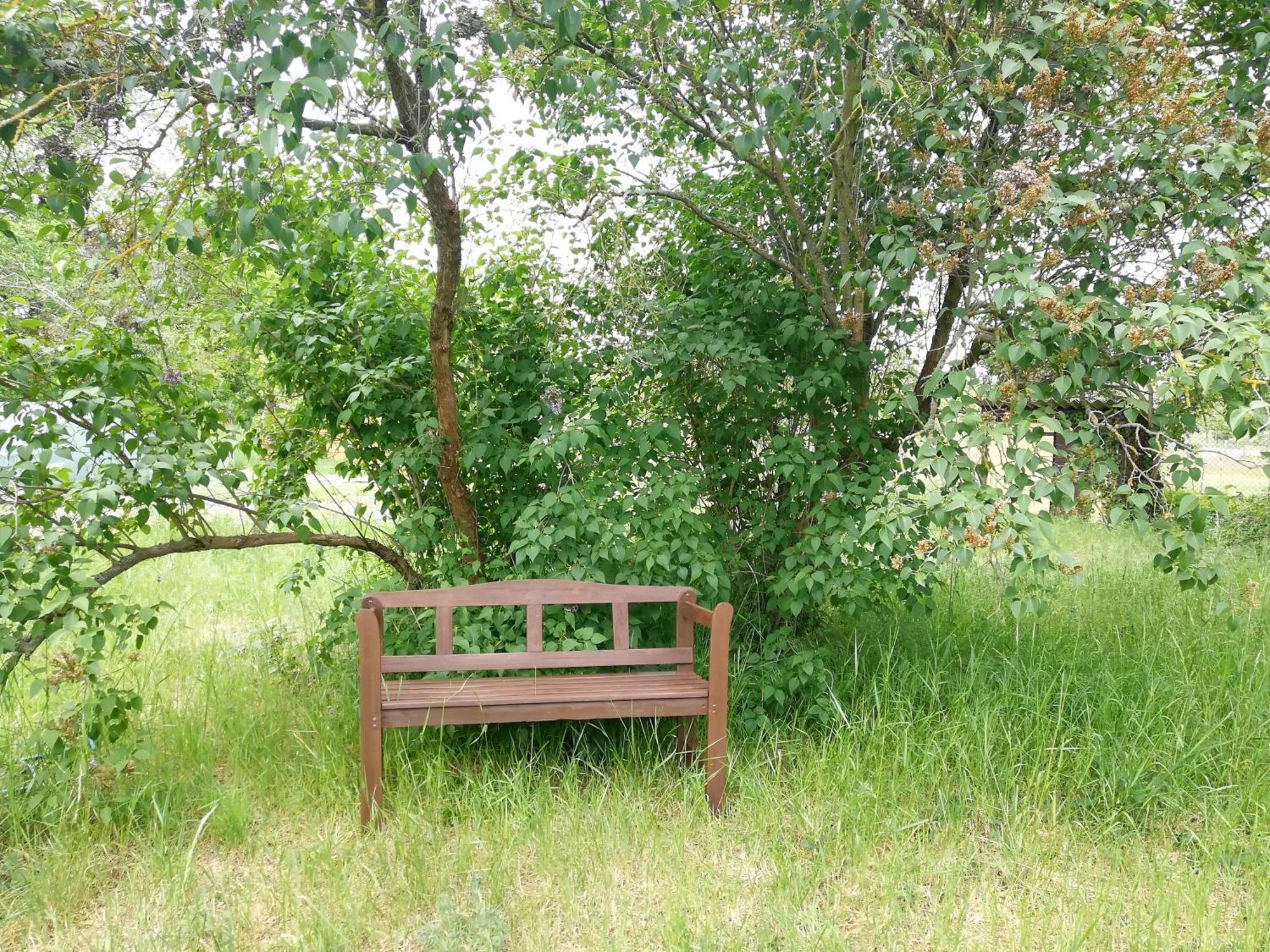 Ehemalige Bibliothek Apartment Fuer 2 Mit Kueche Kamin Netflix Parken Und Hofladen Steinhofel المظهر الخارجي الصورة